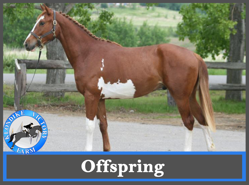 Offspring