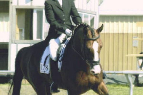 leo-amberlea-trot8B198596-E160-3DB6-D999-E1BA6D86DA67.jpg